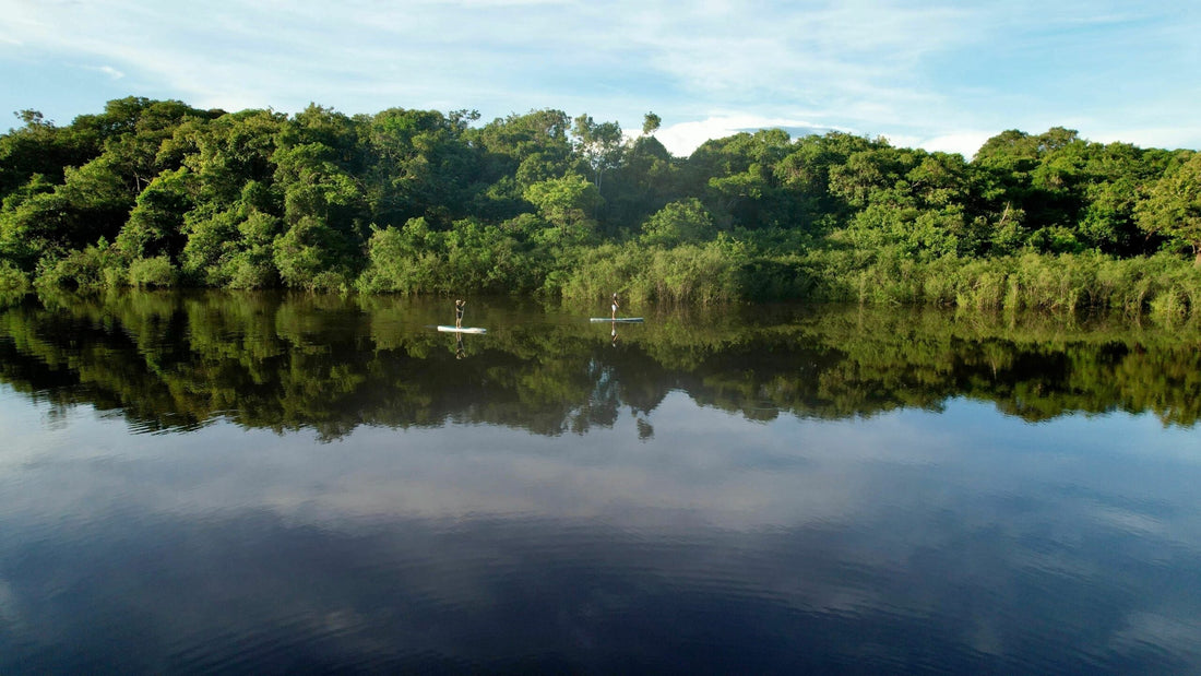 Tag 4: Abenteuer im Urwald – Paddeln, Trekking und Übernachtung im Jungle