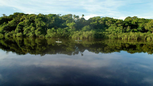 Tag 4: Abenteuer im Urwald – Paddeln, Trekking und Übernachtung im Jungle