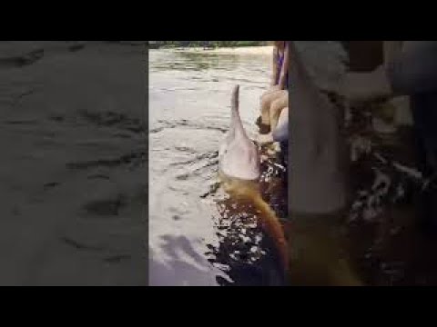 YouTube Video Cover